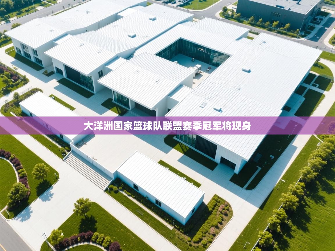 云开体育官网登录入口手机版-大洋洲国家篮球队联盟赛季冠军将现身  第2张