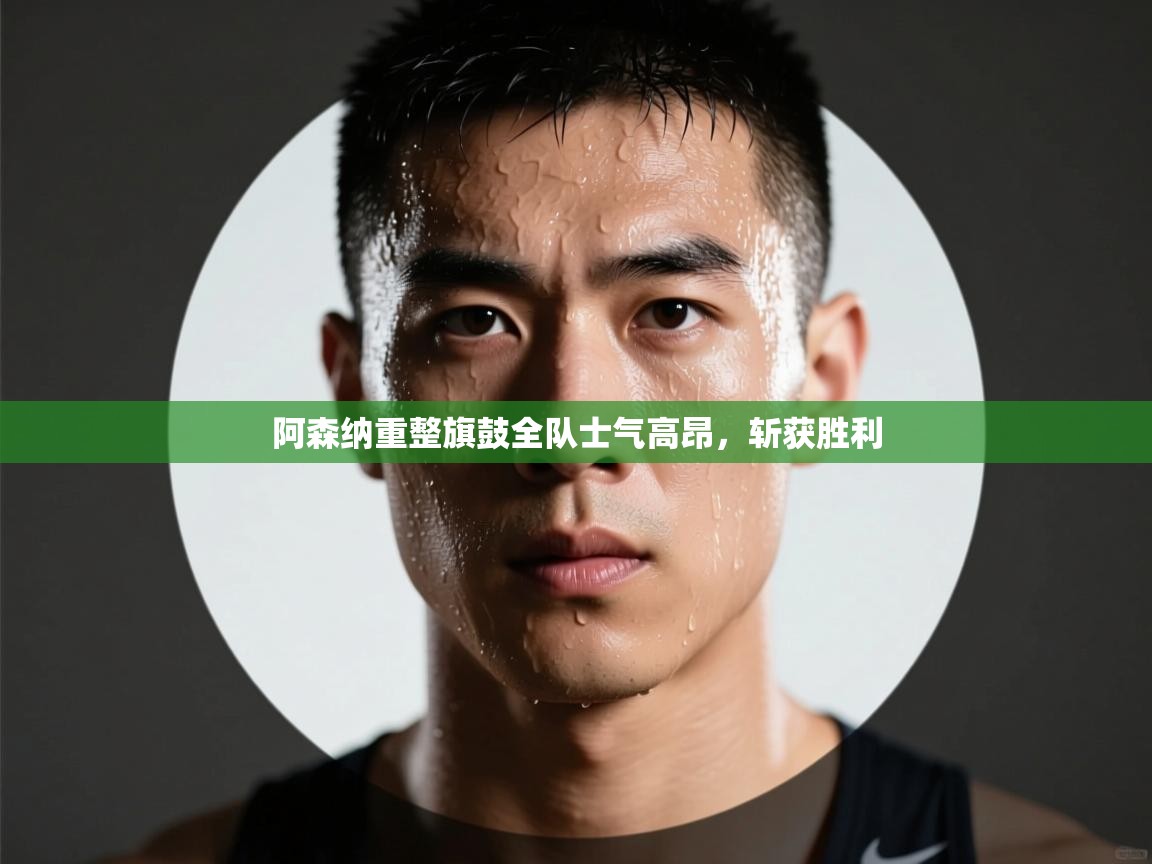 开云体育app官网网页登录入口-阿森纳重整旗鼓全队士气高昂，斩获胜利  第1张