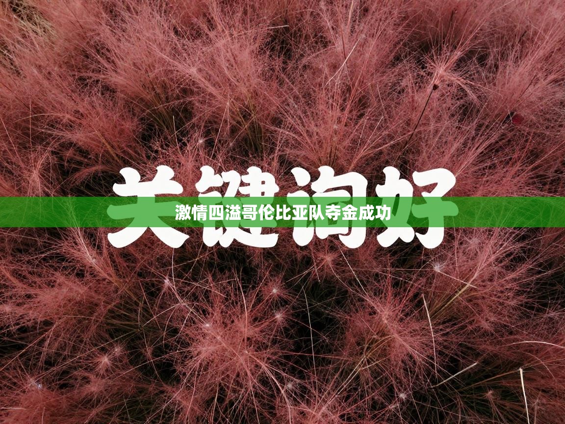 kaiyun sports-激情四溢哥伦比亚队夺金成功  第1张