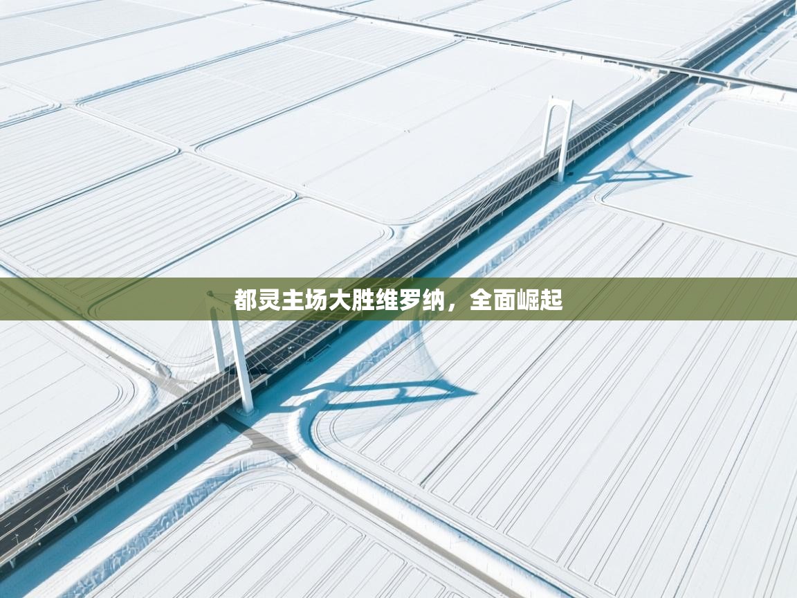 开云体育无法登录解决方案-都灵主场大胜维罗纳，全面崛起  第1张