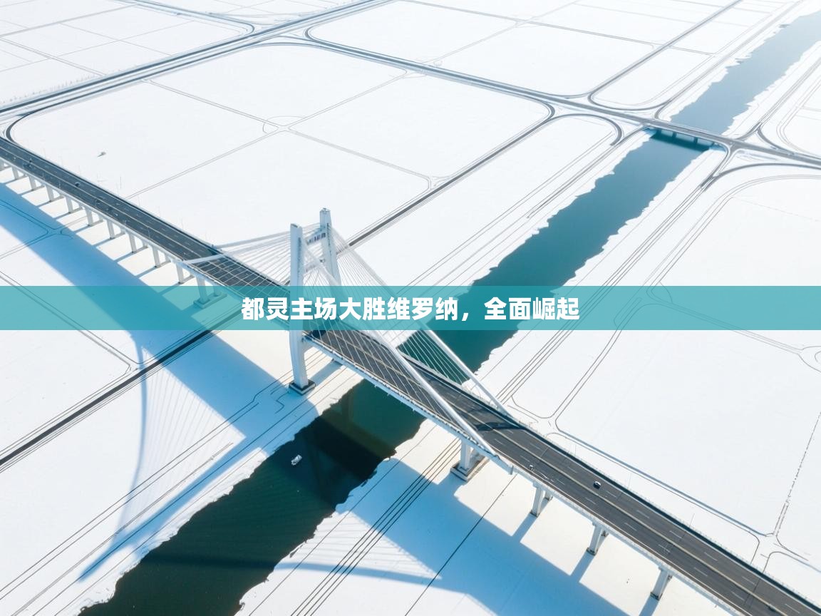 开云体育无法登录解决方案-都灵主场大胜维罗纳，全面崛起  第3张